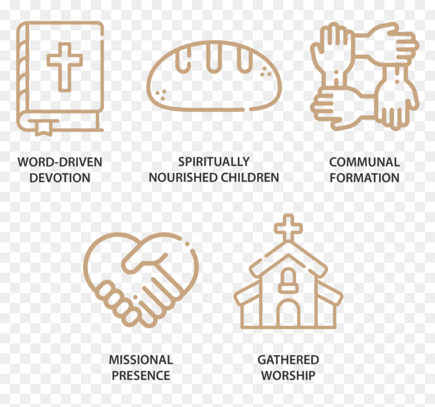 Disciple Making Priorities - Tan, HD Png Download - disciple png