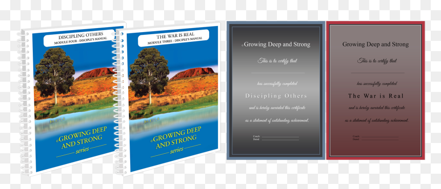 Advanced Course- Disciples Manuals For Module Three - Flyer, HD Png Download - disciple png