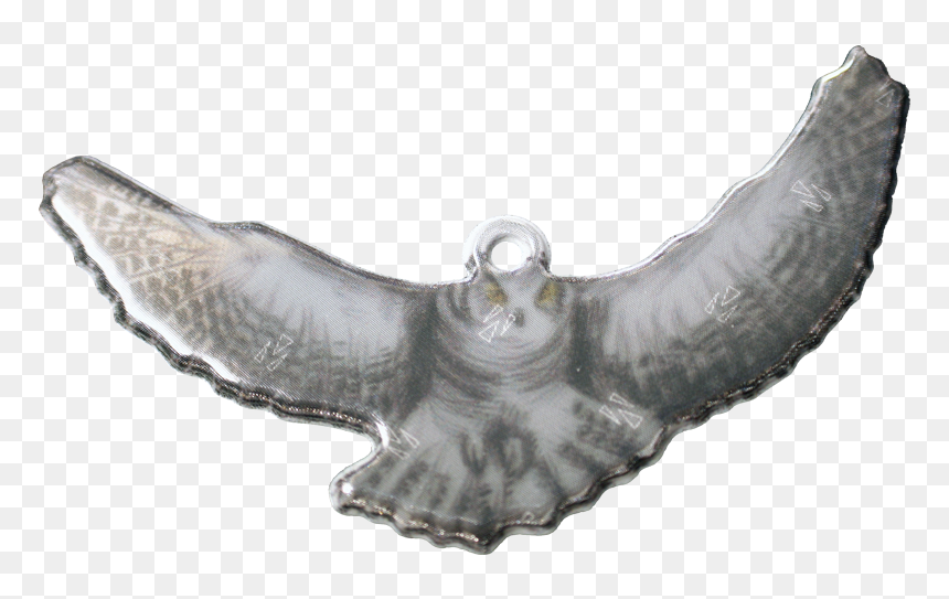 Soft Reflector Pendant, HD Png Download - owl flying png