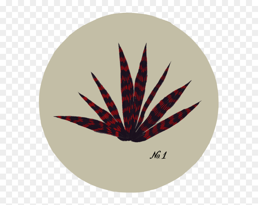 Illustration, HD Png Download - botanical png