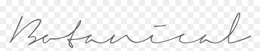 Flea Finds - Calligraphy, HD Png Download - botanical png