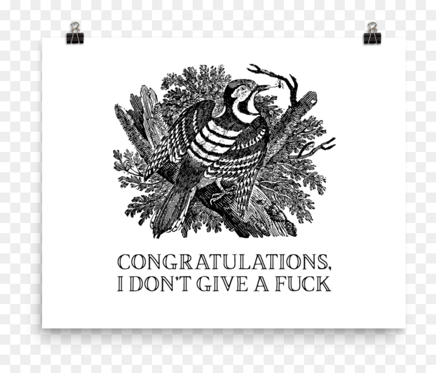 Congratulations, I Don"t Give A Fuck Poster"
 Srcset="data - Envelope, HD Png Download - anglerfish png