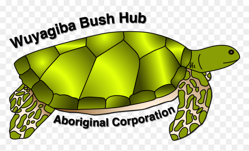 Turtle Logo Coloured, HD Png Download - bush plan png