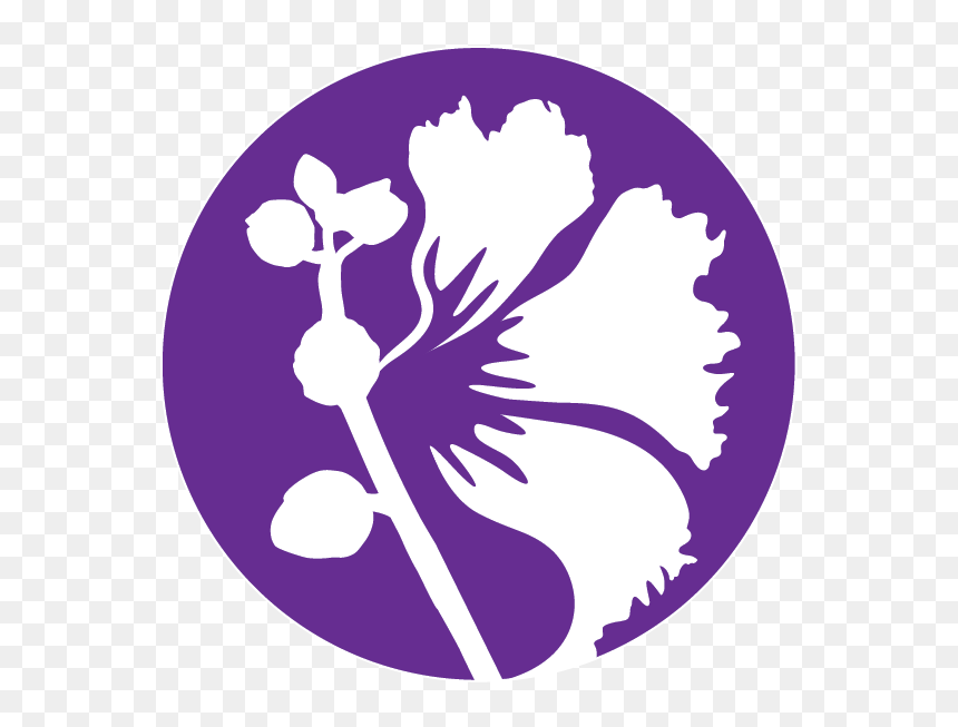 Icon Garden And Home Png, Transparent Png - photo album icon png