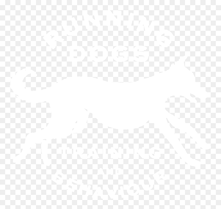 Running Dogs Training And Behaviour Logo - Dog Catches Something, HD Png Download - running dog png