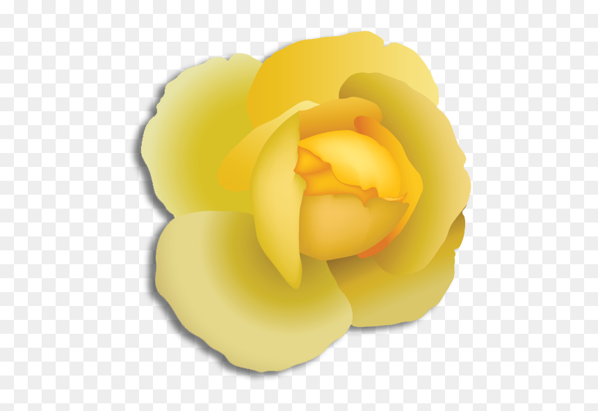 Japanese Camellia, HD Png Download - kappa alpha psi diamond png