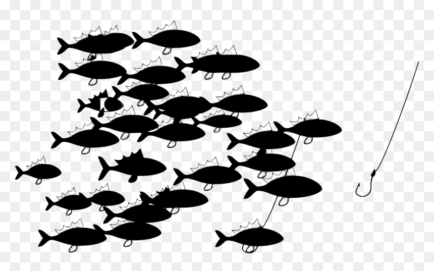 Fishing, HD Png Download - tuna fish png