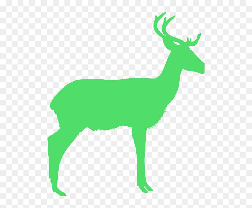 Deer Silhouette Color Transparent, HD Png Download - deer rack png