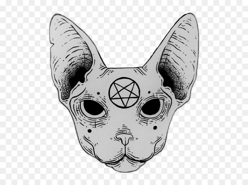 #cat #pentagrama #sticker - Pentagrama Cat, HD Png Download - pentagrama png