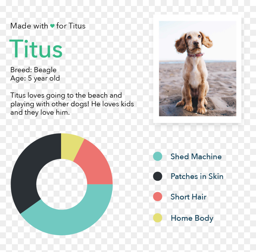 Heartworm Prevention First Of The Month, HD Png Download - dogs playing png
