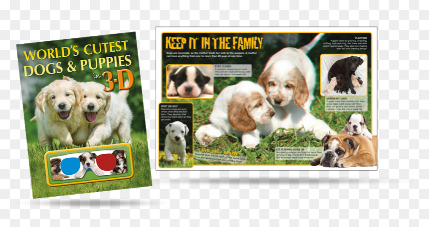 World"s Cutest 3d Dogs And Puppies - Companion Dog, HD Png Download - dogs playing png
