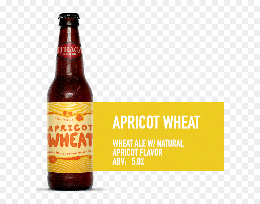 Ibc Beer Flavors Apricotwheat - Animated Dreams Film Festival, HD Png Download - alcohol glass png