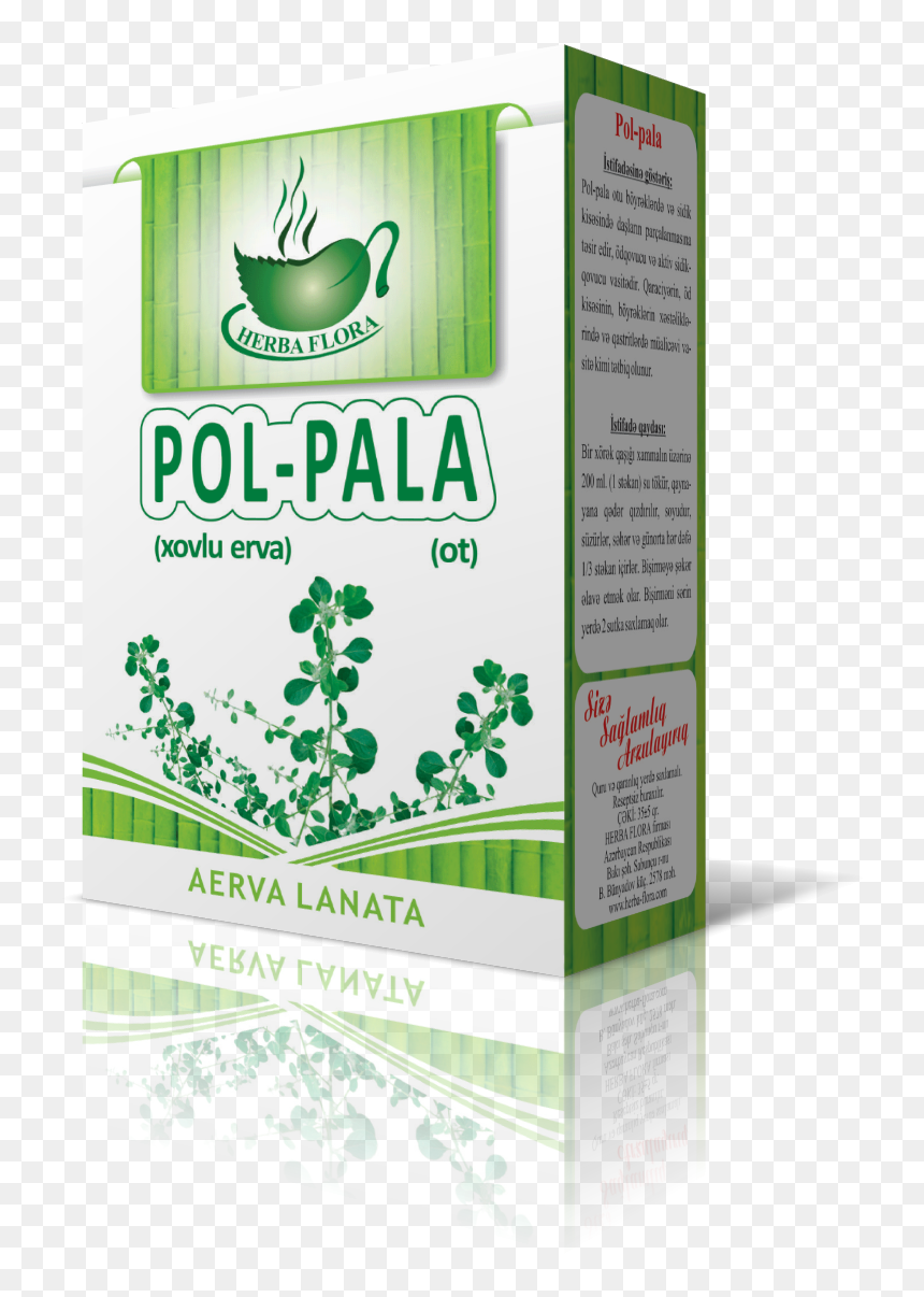 Gülümbahar Çiçəyi, HD Png Download - pala png