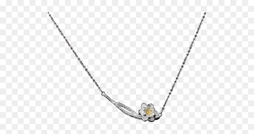 Necklace, HD Png Download - choker necklace png