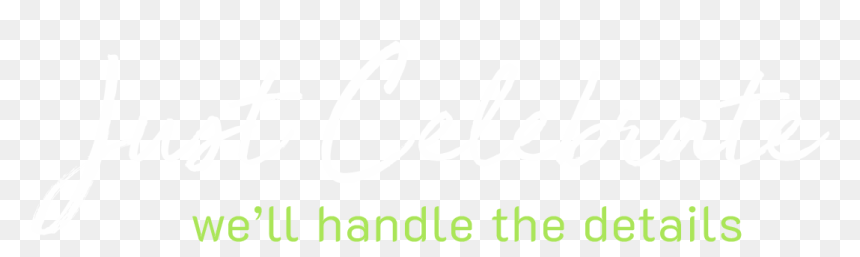 We"ll Handle The Details - Calligraphy, HD Png Download - wedding divider png
