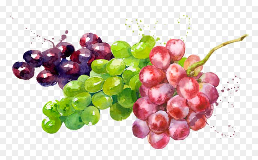 Prod Fruta Uvas - Seedless Fruit, HD Png Download - fruta png
