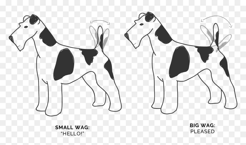 Ancient Dog Breeds, HD Png Download - dog tail png