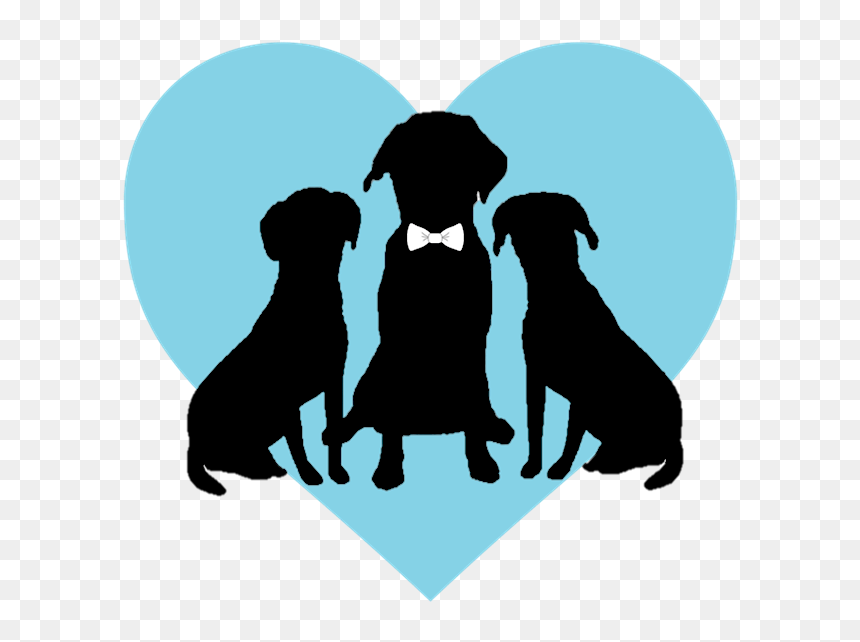 Pet, HD Png Download - dog tail png
