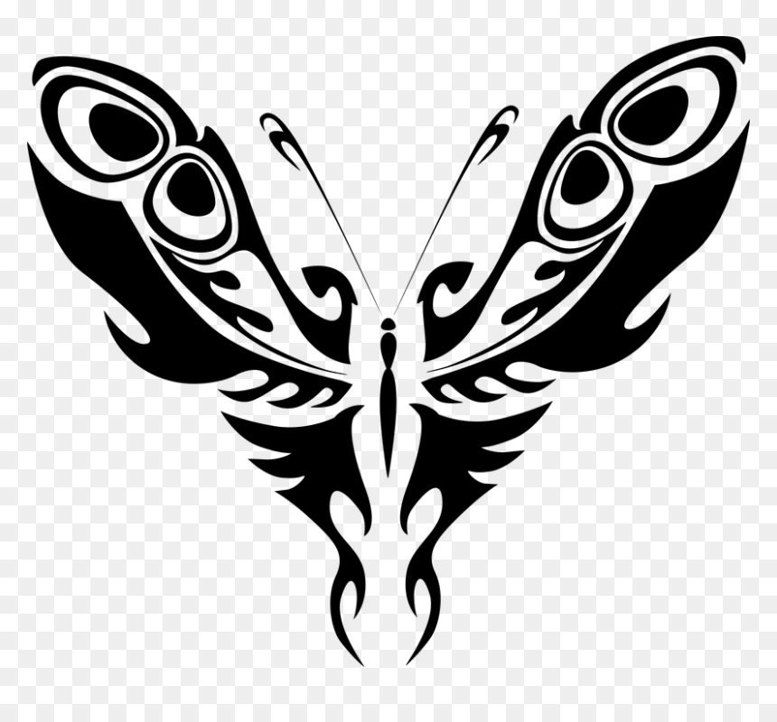 Image Result For Feather Clipart - Clip Art Black Butterfly, HD Png Download - tribal feather png