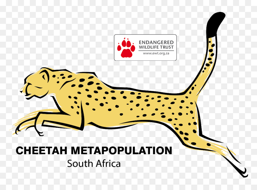 Logo Png Home Sa - Cheetah Jumping Drawing, Transparent Png - cheetah face png