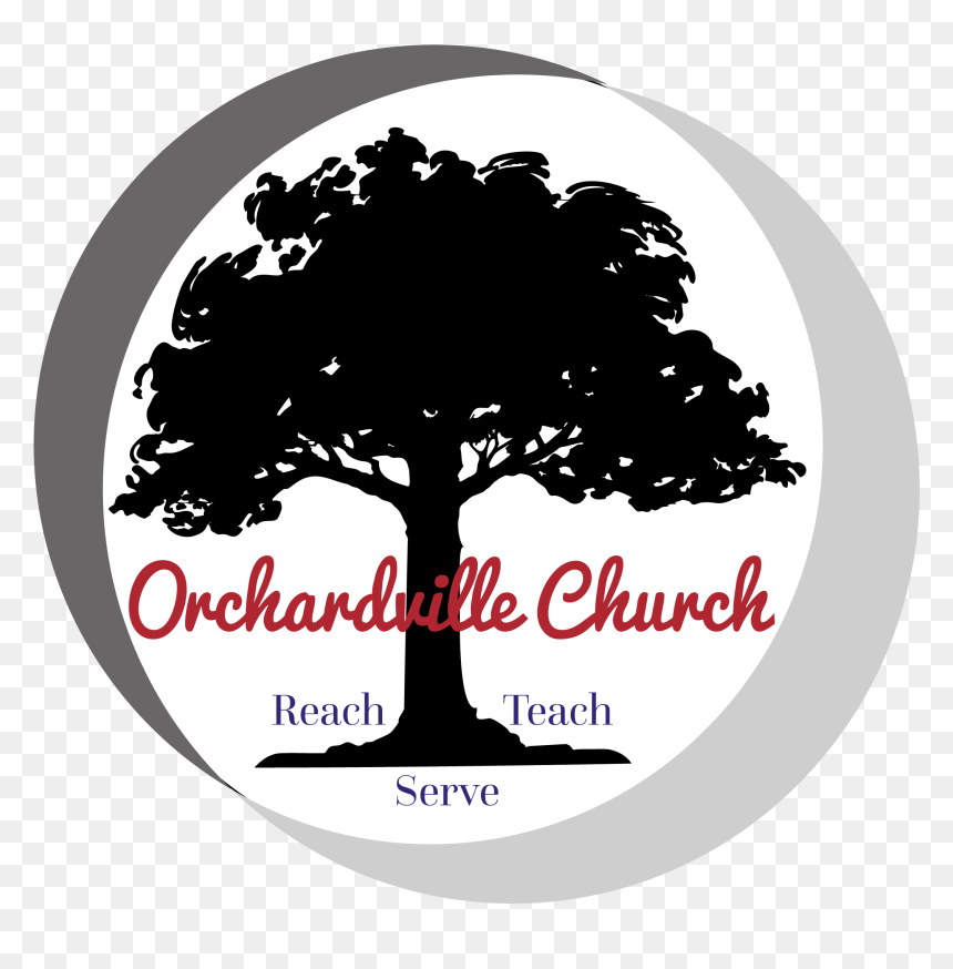 Elm Tree Black And White , Png Download - Barrel Oak Winery Logo, Transparent Png - elm tree png