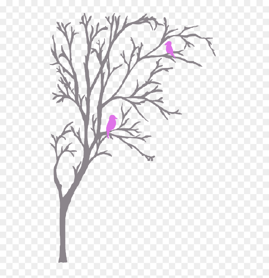 Rosa Glauca , Png Download - Bougainvillea, Transparent Png - elm tree png