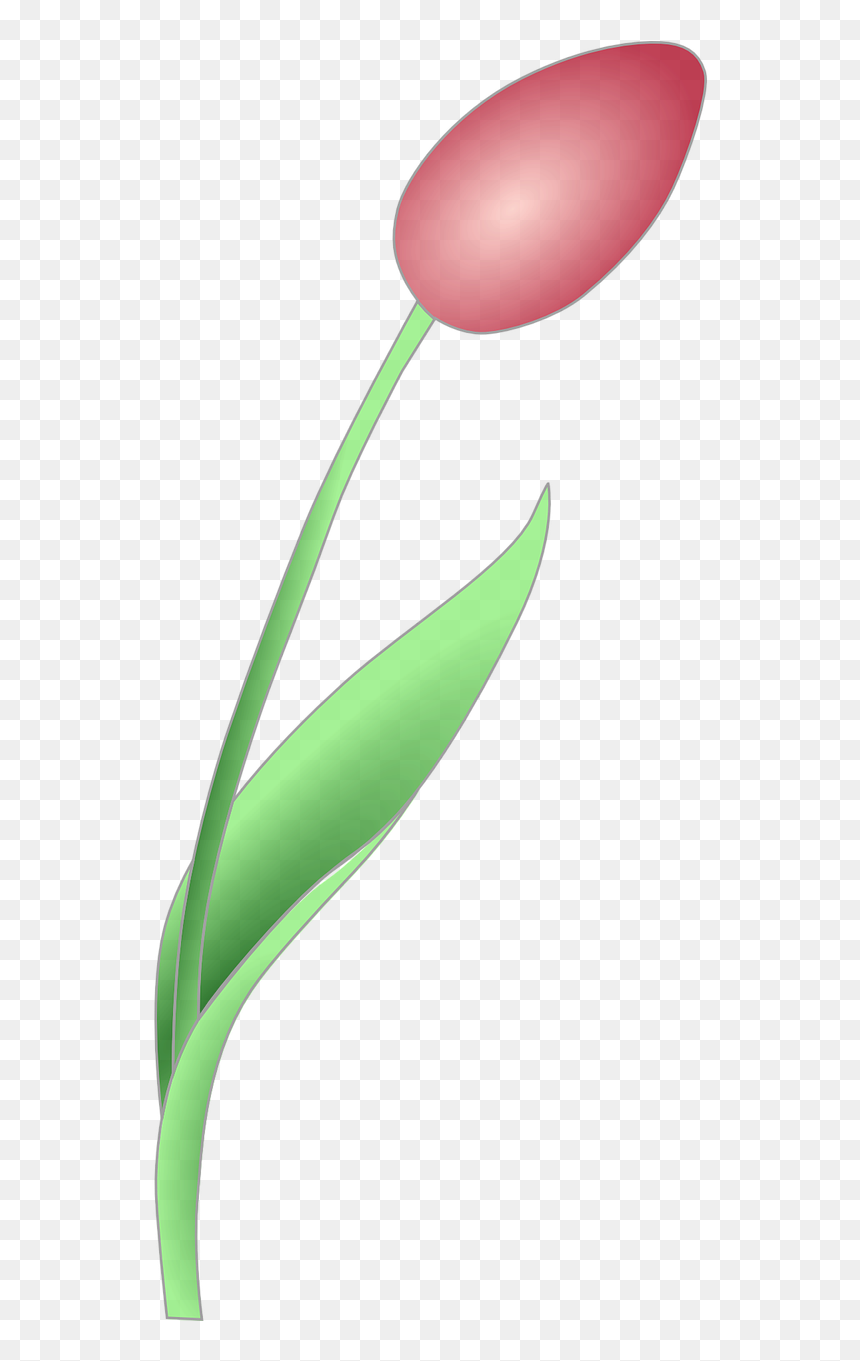 Bud Clipart, HD Png Download - red tulip png