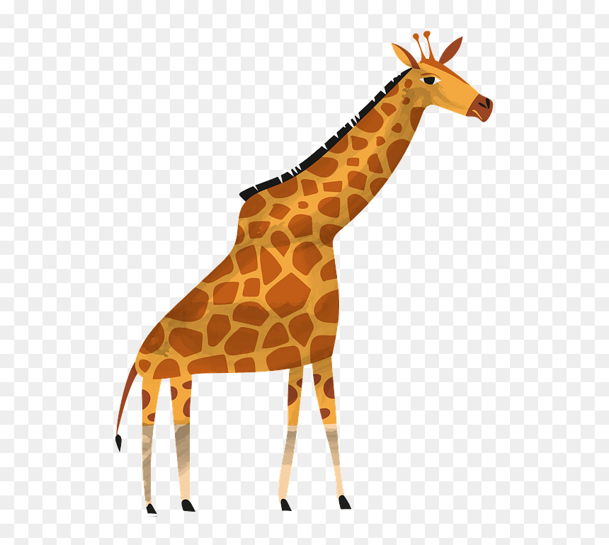 Giraffe, HD Png Download - giraffe head png