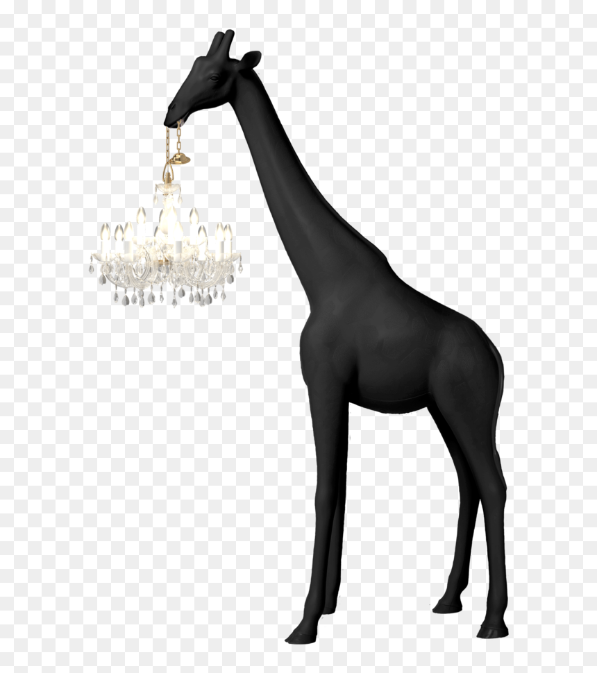 Giraffe In Love Xs, HD Png Download - giraffe head png