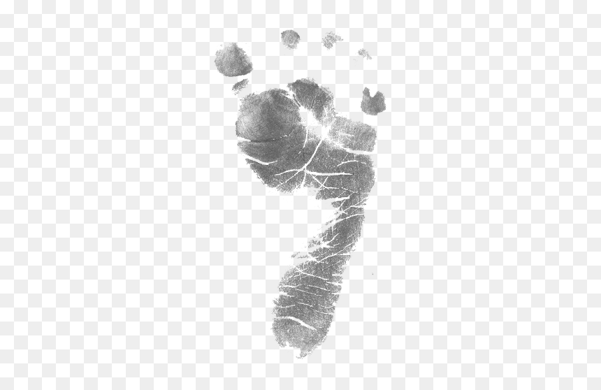 Footprint, HD Png Download - baby in womb png