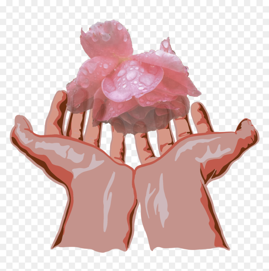 Img 0182 - Illustration, HD Png Download - baby in womb png