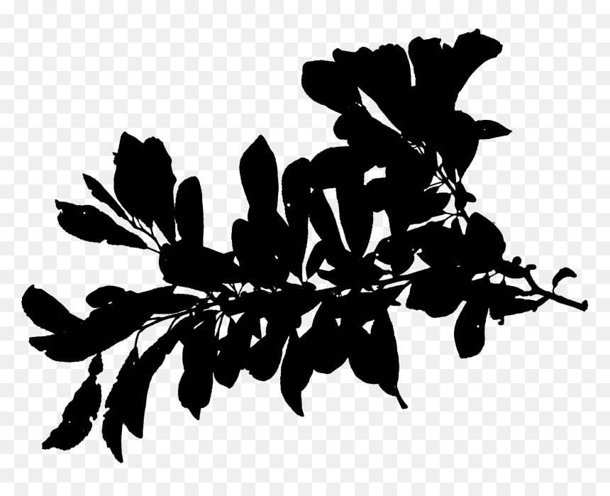 Plant Stem Silhouette Leaf Font Black - Transparent Plant Silhouette, HD Png Download - plant stem png