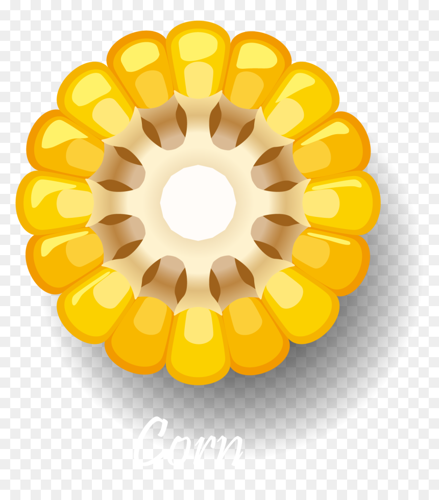 Cross Section Of Vegetables, HD Png Download - salad icon png
