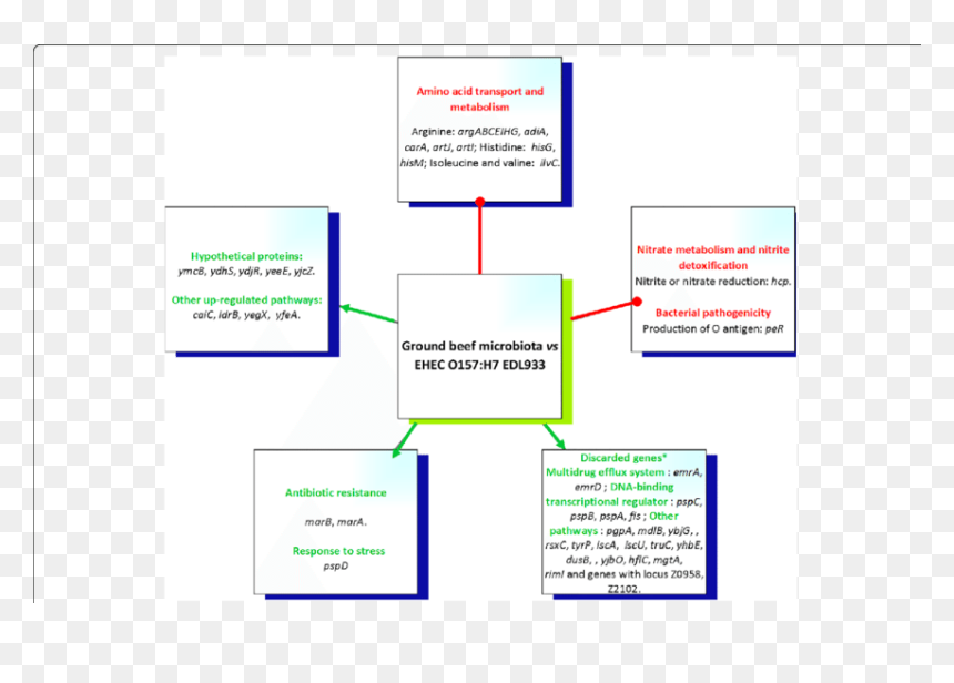 Diagram, HD Png Download - green arrow up png