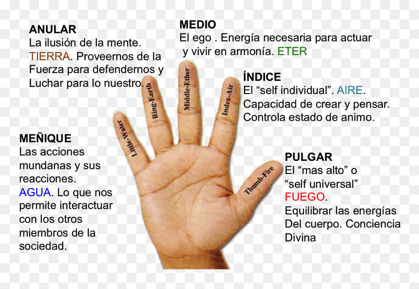 Prana Mudra, HD Png Download - pulgar arriba png