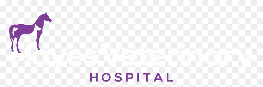 Graphics, HD Png Download - png white banner