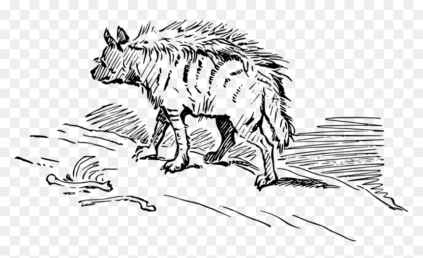 Africa Animal Hyena Free Photo - Brown Hyenas Clipart Black And White, HD Png Download - africa vector png