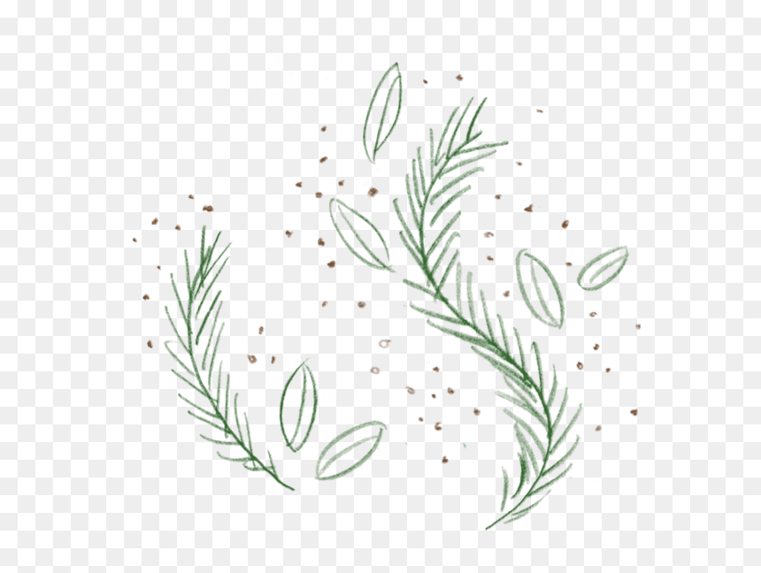 Rosemary 1-v2 - Pond Pine, HD Png Download - ice cream scoops png