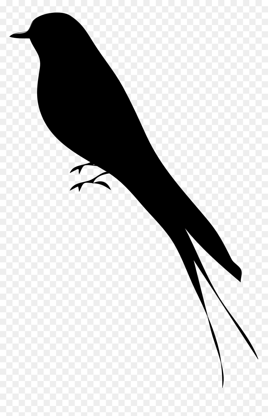 Mockingbird Silhouette Png, Transparent Png - sparrow silhouette png
