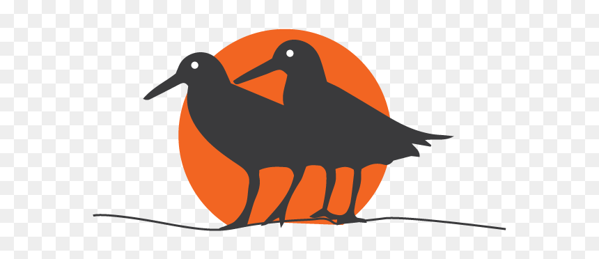 African Oystercatcher Icon - Hummingbird, HD Png Download - longclaw png