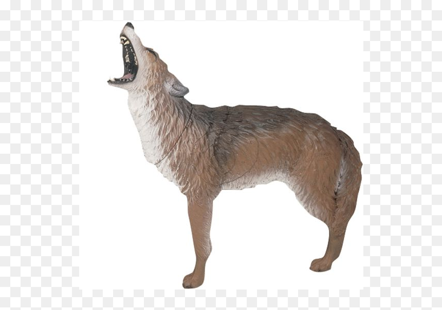 Advantages Of A 3d Archery Target - Howling Coyote 3d Archery Target, HD Png Download - archery target png