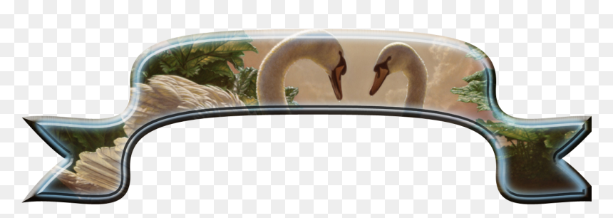 Frames And Borders - Imagenes De Cisnes Enamorados, HD Png Download - enamorados png