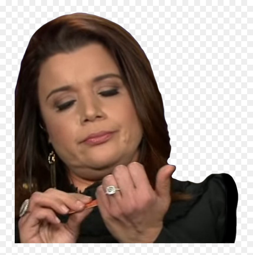 Ana Navarro And Meghan Mccain, HD Png Download - bolsonaro png