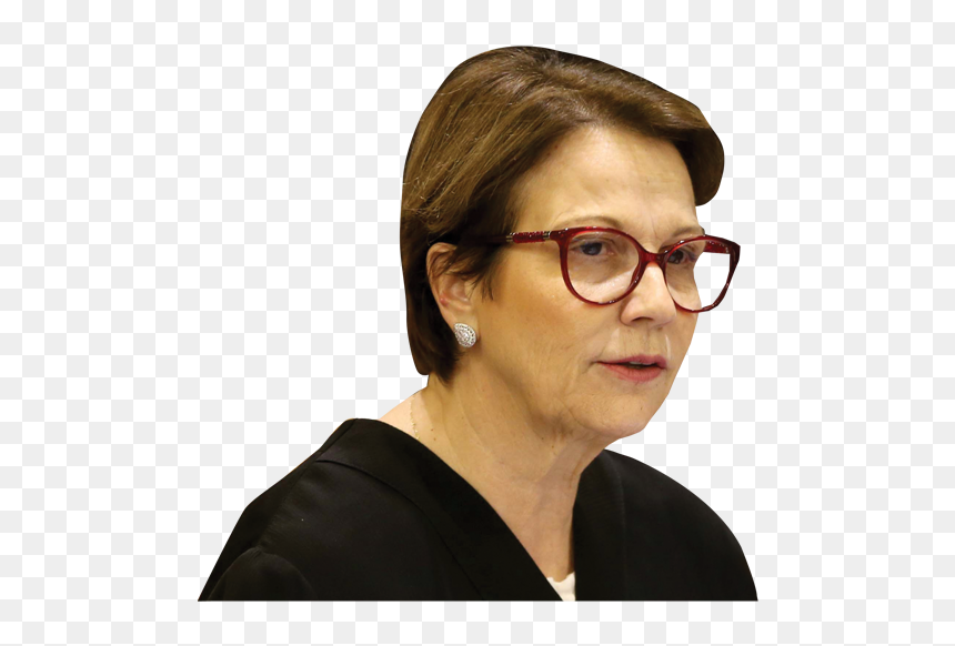 Girl, HD Png Download - bolsonaro png