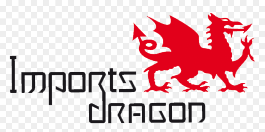 Imports Dragon Vector - Imports Dragon Logo, HD Png Download - dragon vector png