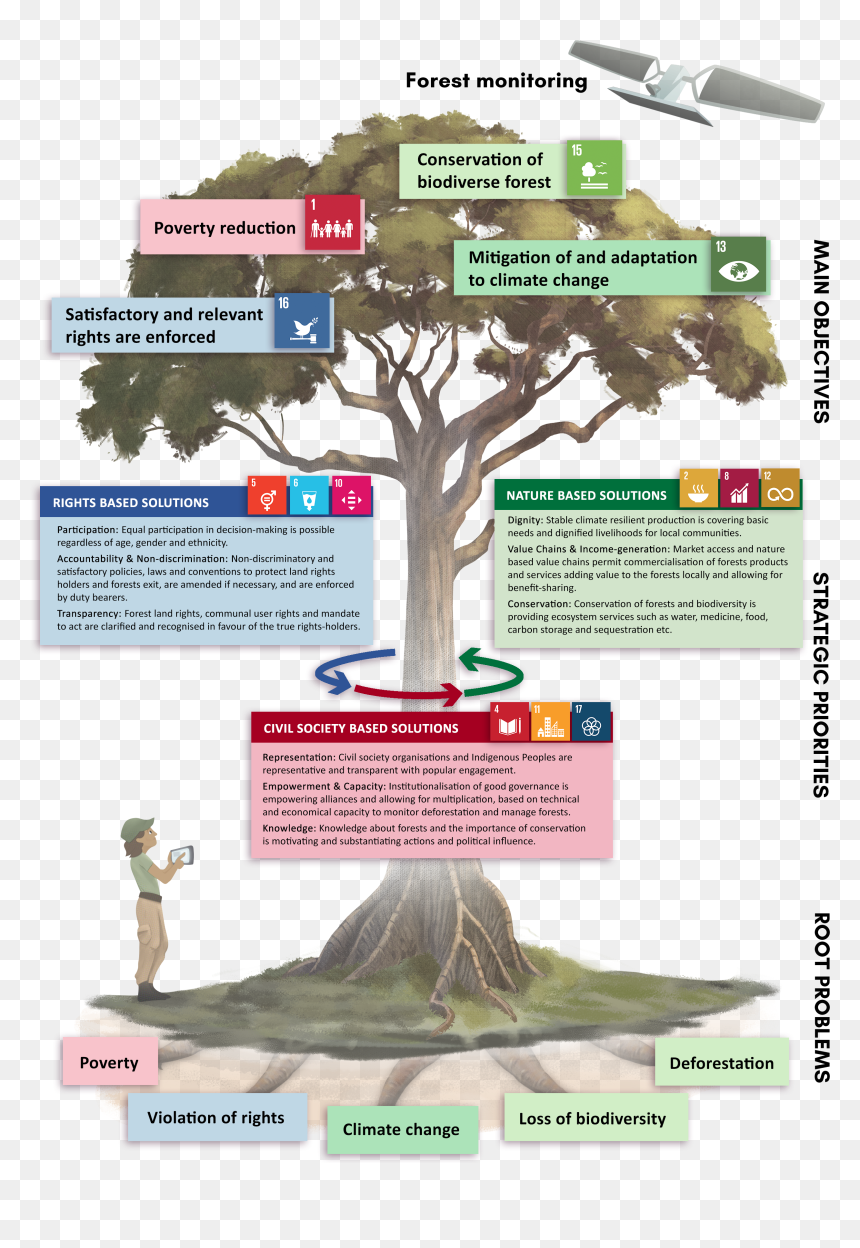 Bonsai, HD Png Download - deforestation png
