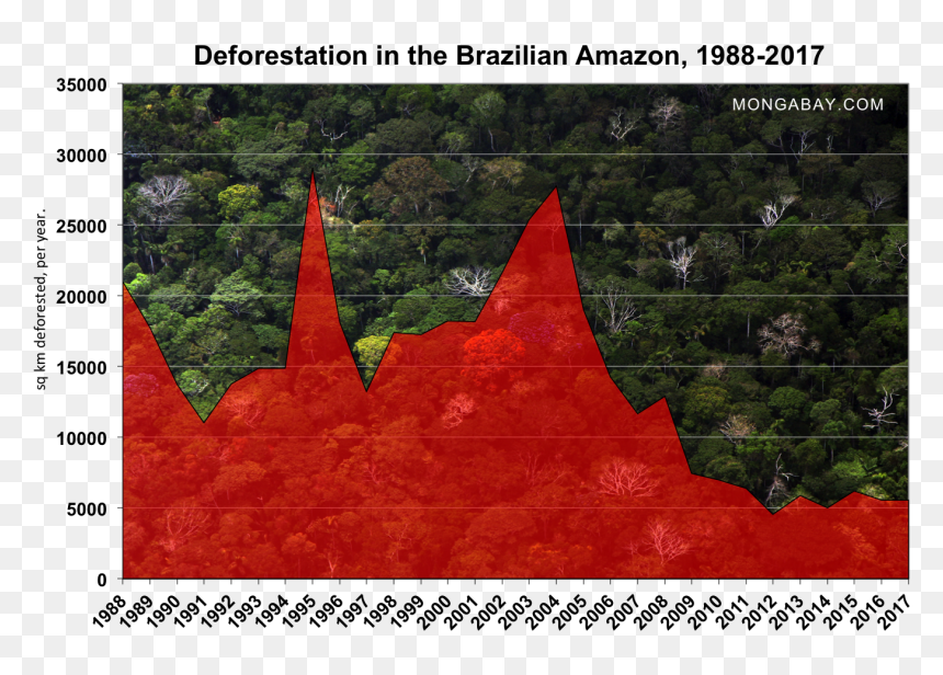 Deforestation In The Amazon 2018, HD Png Download - deforestation png