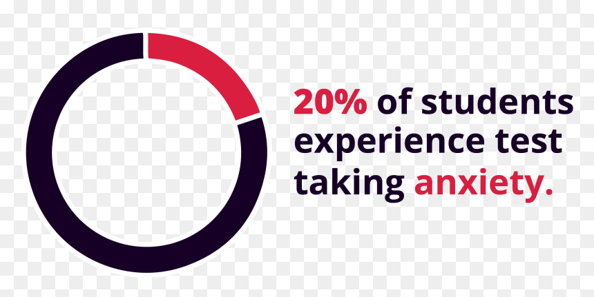 Test Taking Anxiety - Circle, HD Png Download - 20% png