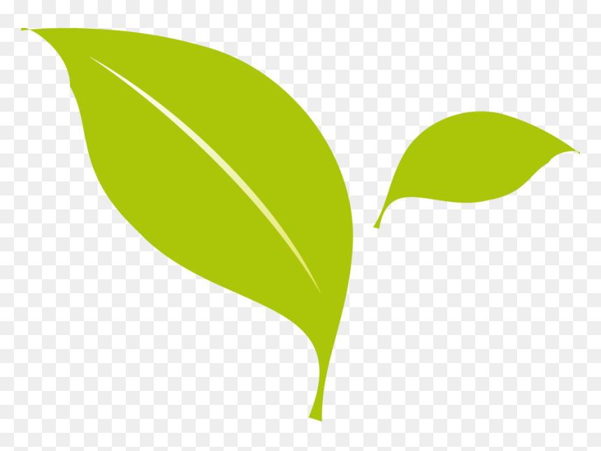 Leaf Flat Design Png, Transparent Png - leaf png