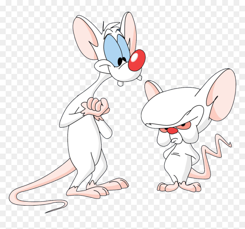 Pinky And The Brain Stoned, HD Png Download - brain png